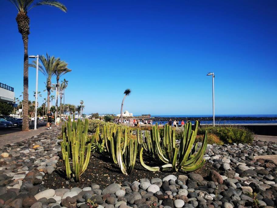 Estudio Ana Puerto de la Cruz  Exterior photo